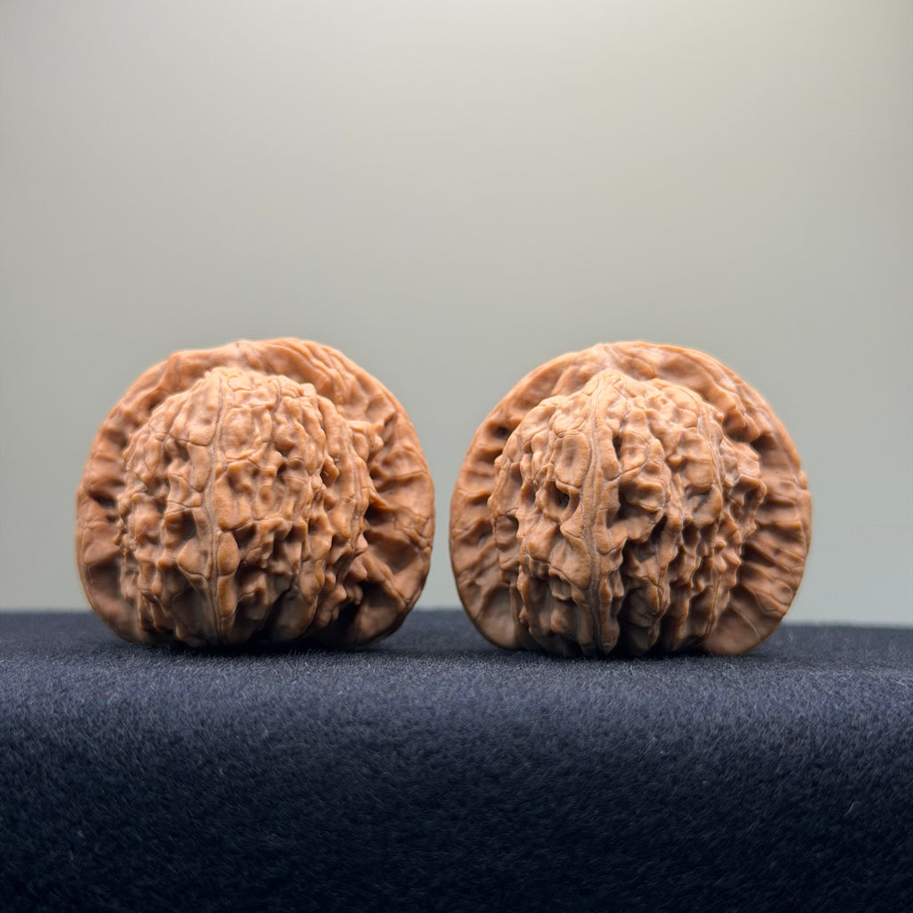 White Lion Wenwan Walnut · 40mm · Natural · Entry Ritual