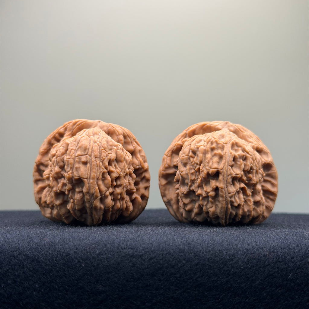 White Lion Wenwan Walnut · 40mm · Natural · Entry Ritual