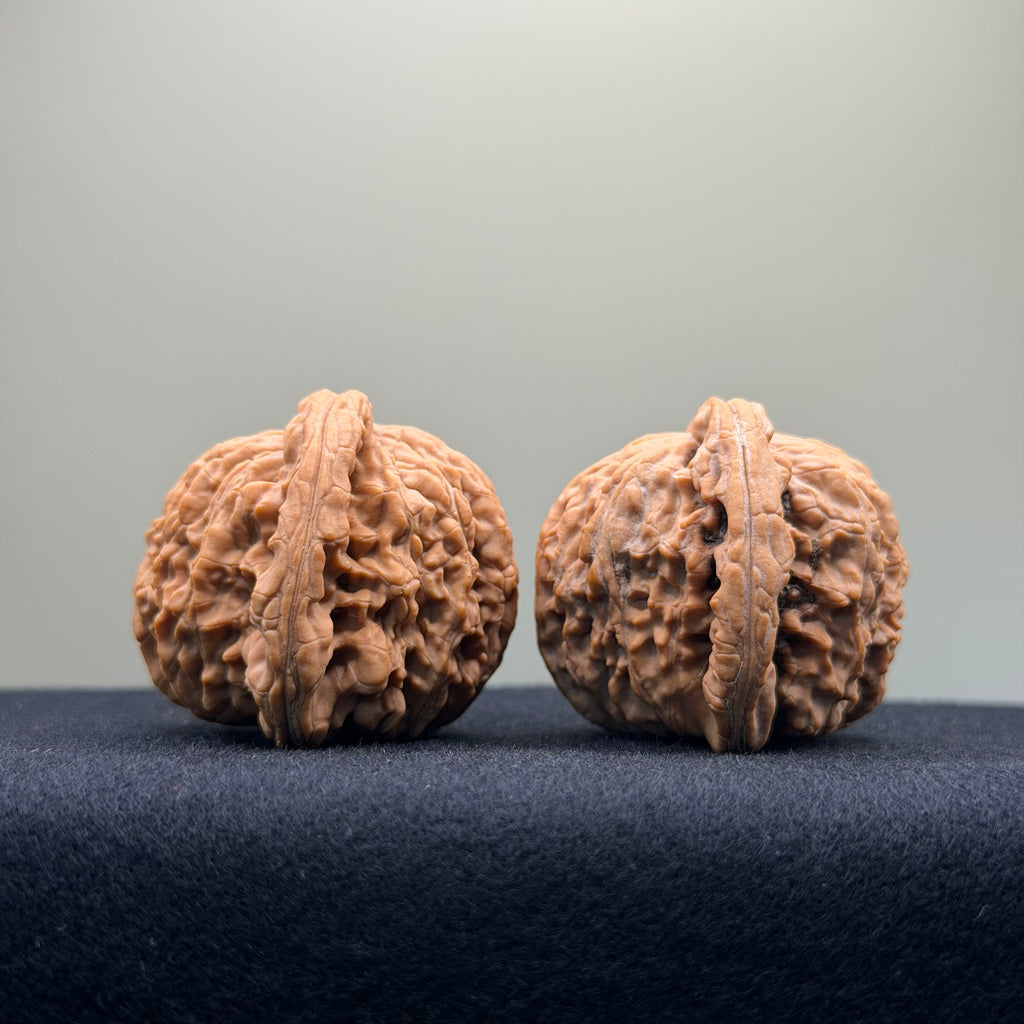 White Lion Wenwan Walnut · 40mm · Natural · Entry Ritual