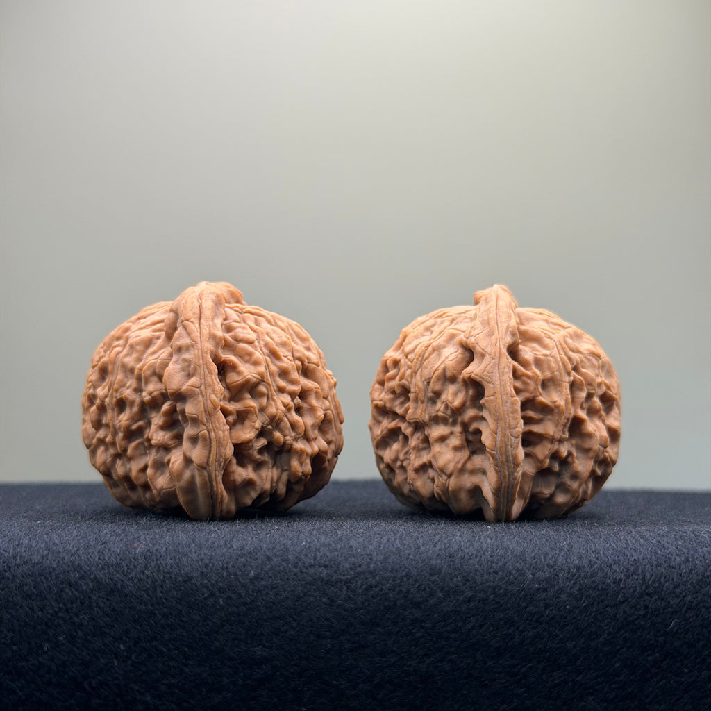White Lion Wenwan Walnut · 40mm · Natural · Entry Ritual