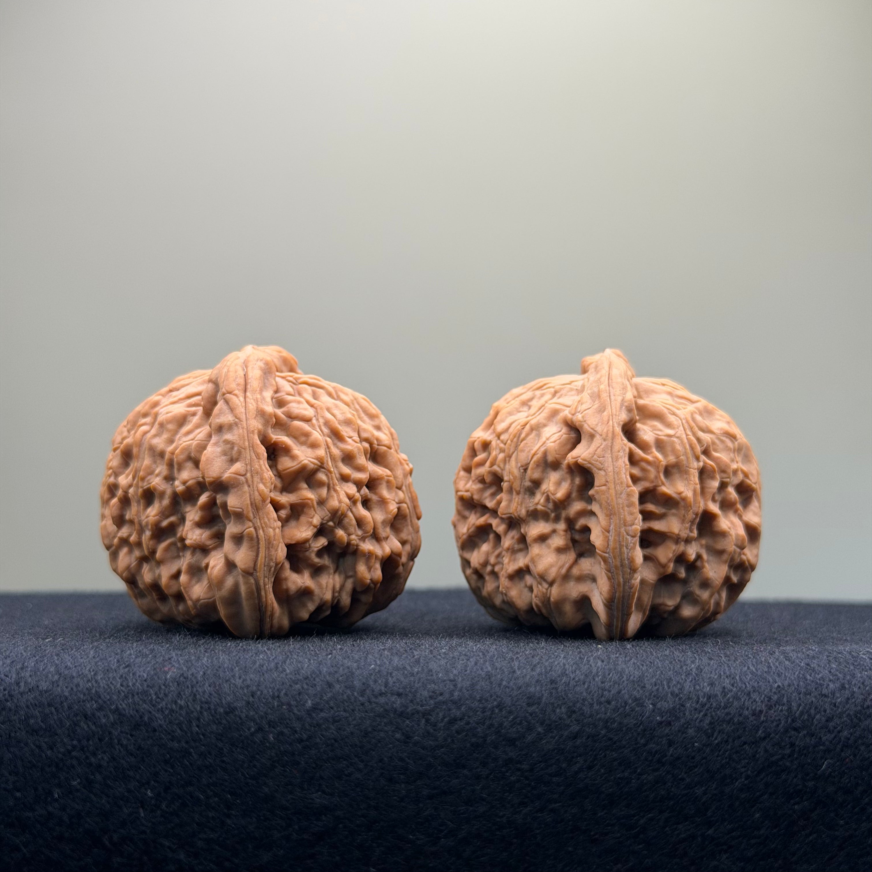 White Lion Wenwan Walnut · 40mm · Natural · Entry Ritual