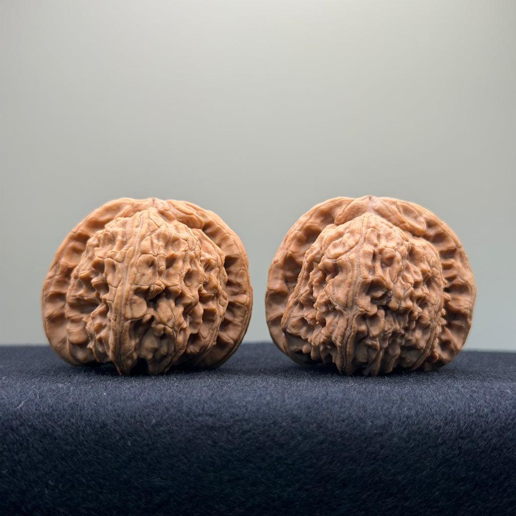 White Lion Wenwan Walnut · 41mm · Natural · Select Ritual