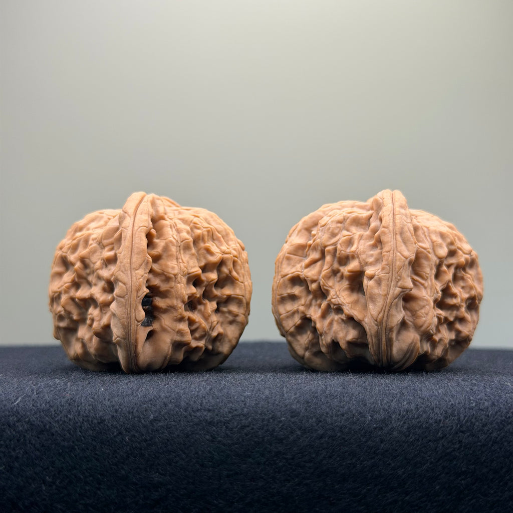 White Lion Wenwan Walnut · 41mm · Natural · Select Ritual