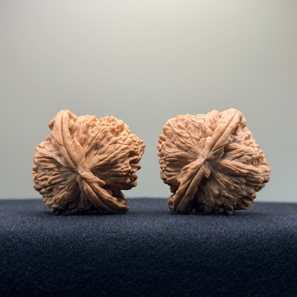 White Lion Wenwan Walnut · 41mm · Natural · Select Ritual
