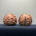 White Lion Wenwan Walnut · 40mm · Natural · Select Ritual