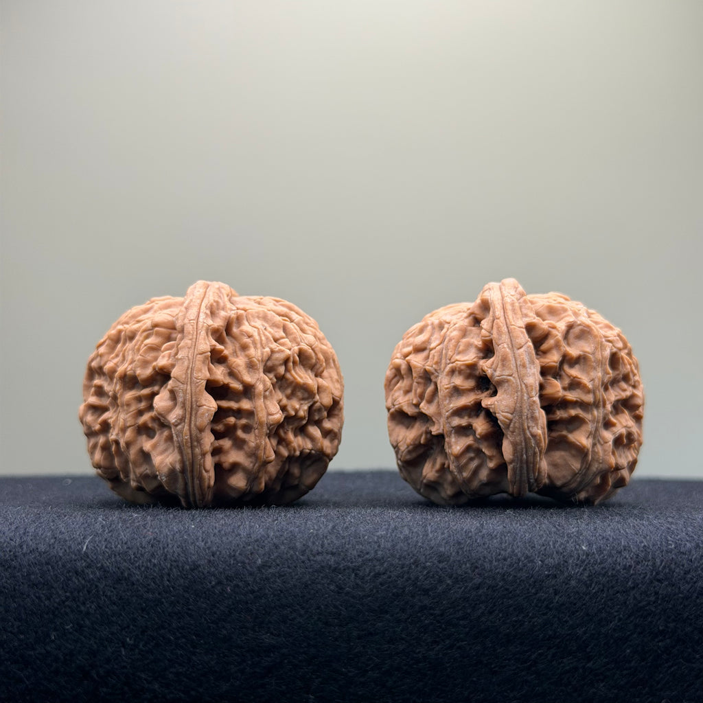 White Lion Wenwan Walnut · 40mm · Natural · Select Ritual