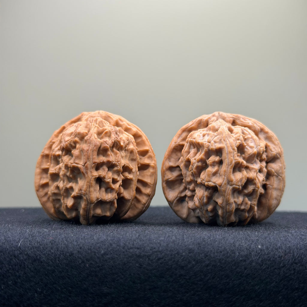 White Lion Wenwan Walnut · 39mm · Natural · Select Ritual