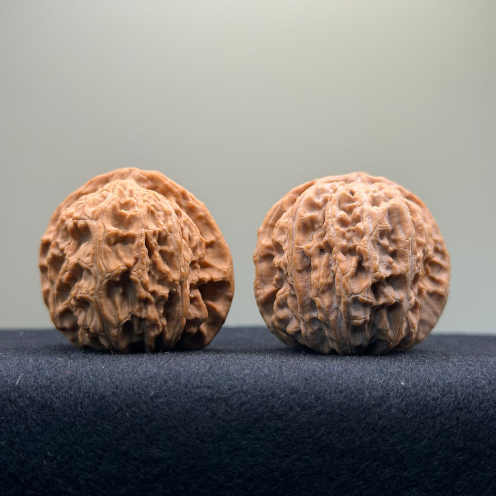 White Lion Wenwan Walnut · 39mm · Natural · Select Ritual