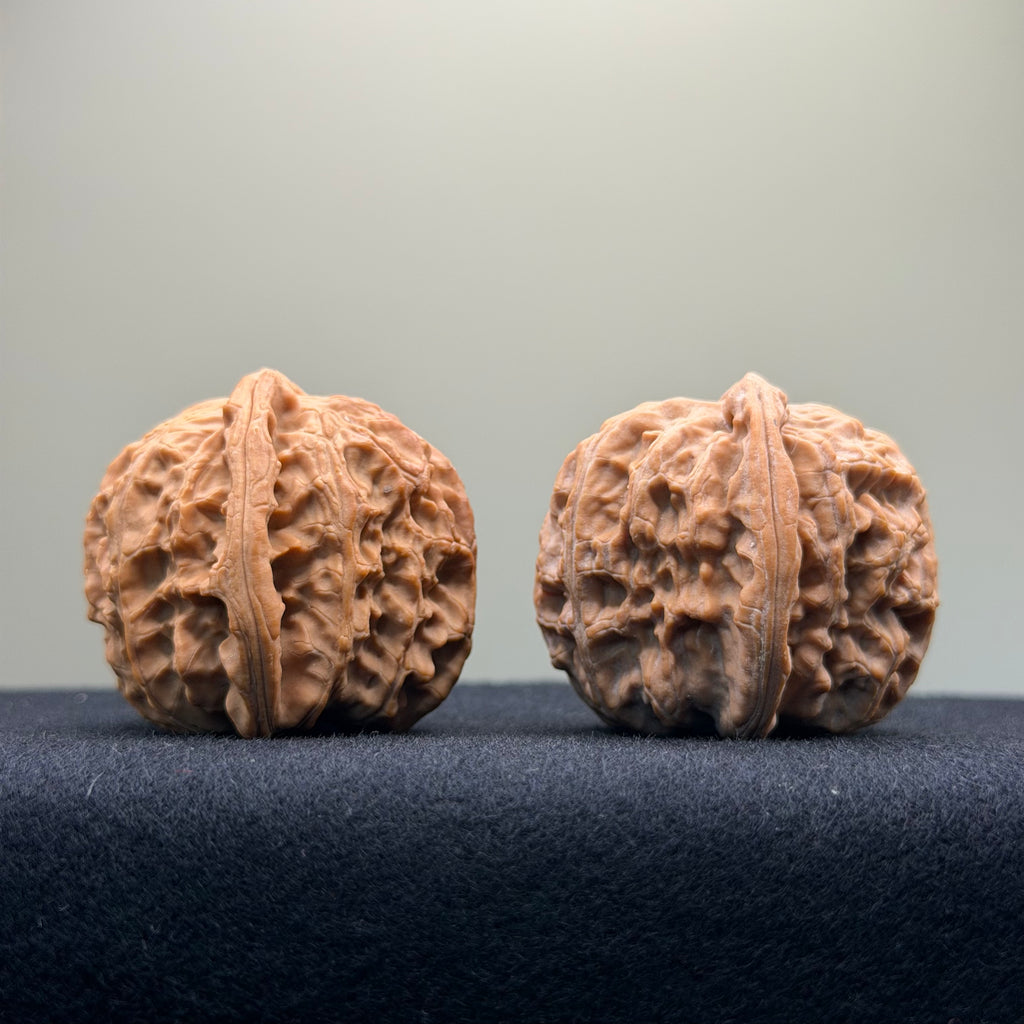 White Lion Wenwan Walnut · 39mm · Natural · Select Ritual