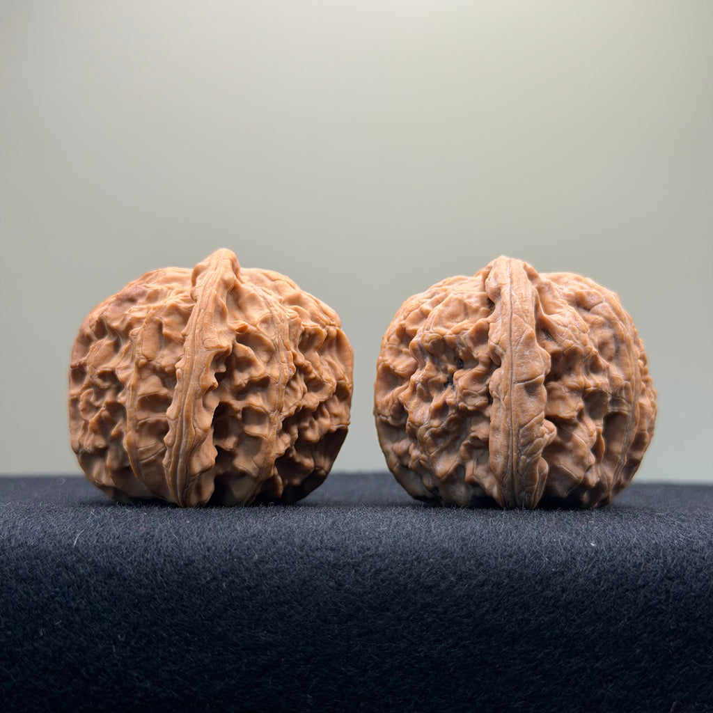 White Lion Wenwan Walnut · 39mm · Natural · Select Ritual