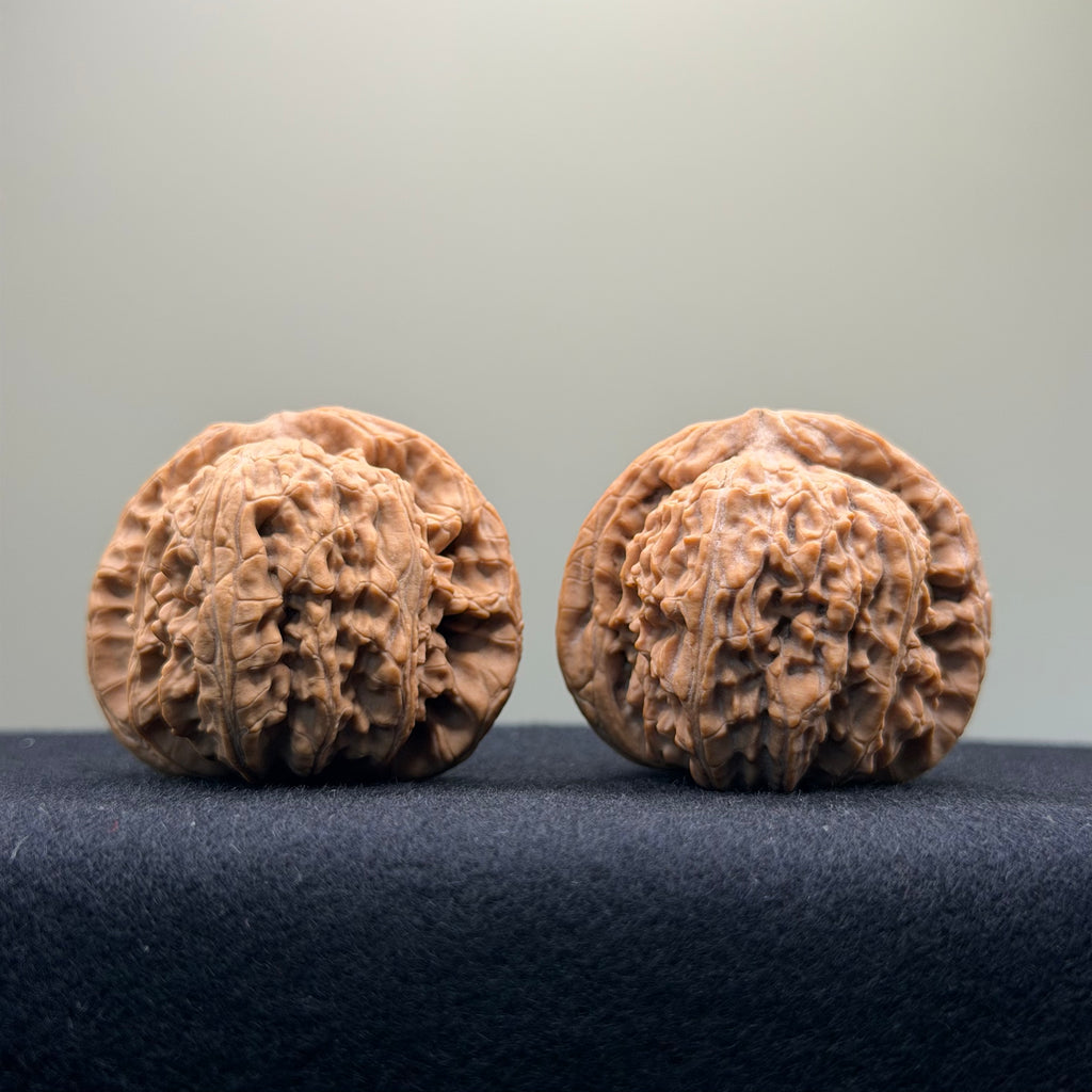 White Lion Wenwan Walnut · 41mm · Natural · Select Ritual