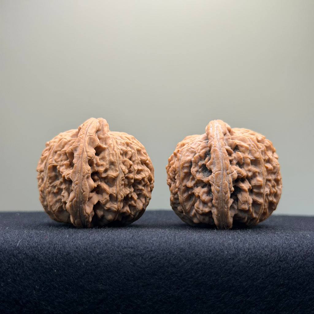 White Lion Wenwan Walnut · 41mm · Natural · Select Ritual