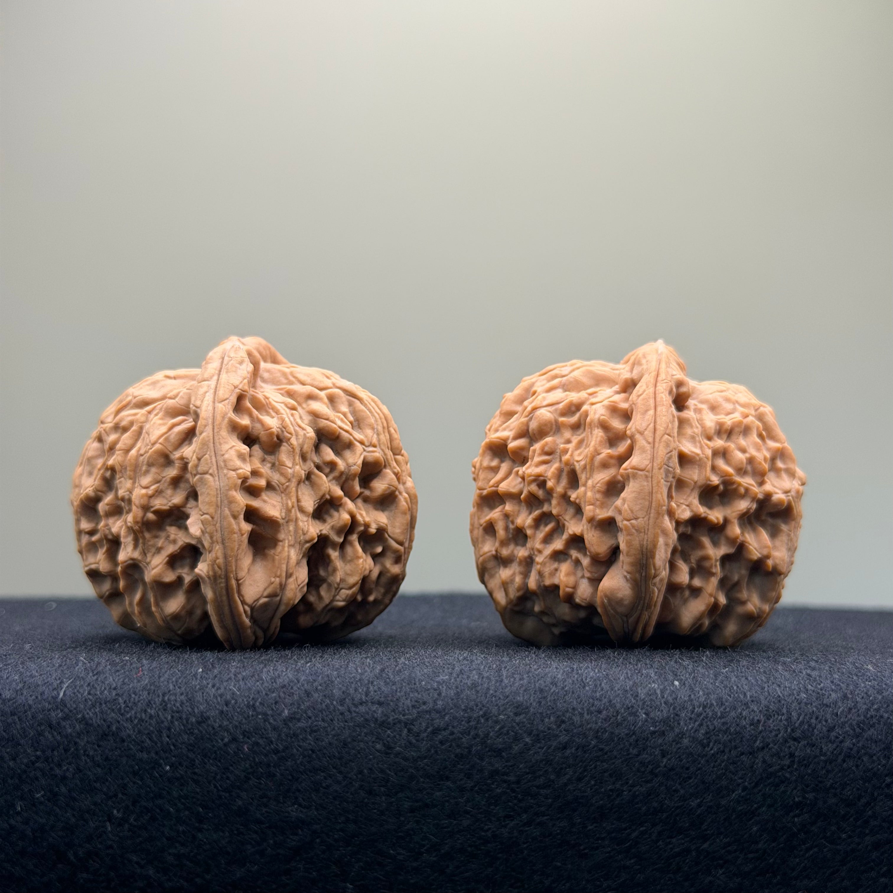 White Lion Wenwan Walnut · 41mm · Natural · Select Ritual