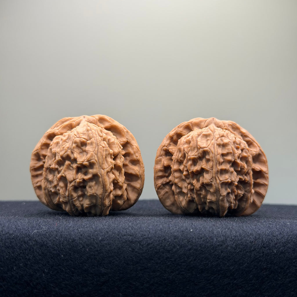 White Lion Wenwan Walnut · 41mm · Natural · Select Ritual