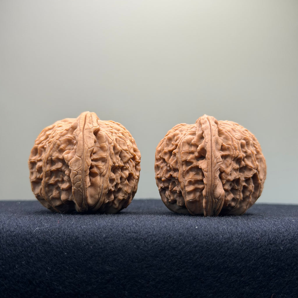 White Lion Wenwan Walnut · 41mm · Natural · Select Ritual