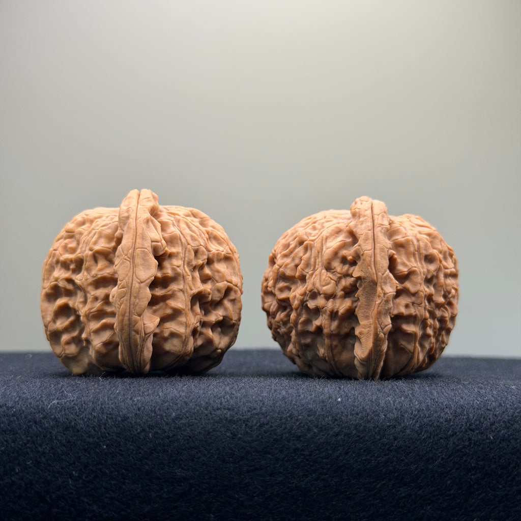 White Lion Wenwan Walnut · 41mm · Natural · Select Ritual