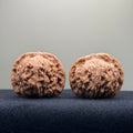 Red Lion Wenwan Walnut · 40mm · Natural · Entry Ritual