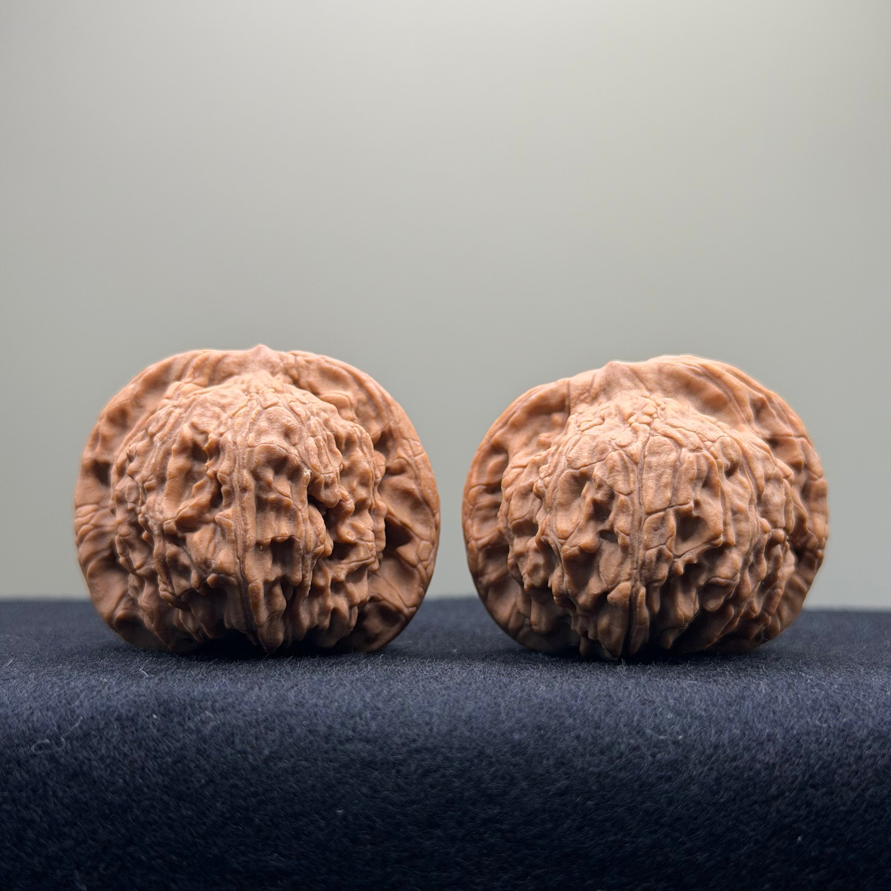 Red Lion Wenwan Walnut · 40mm · Natural · Entry Ritual