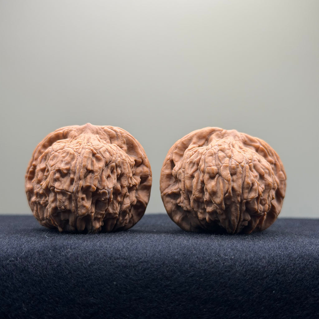 Red Lion Wenwan Walnut · 40mm · Natural · Entry Ritual