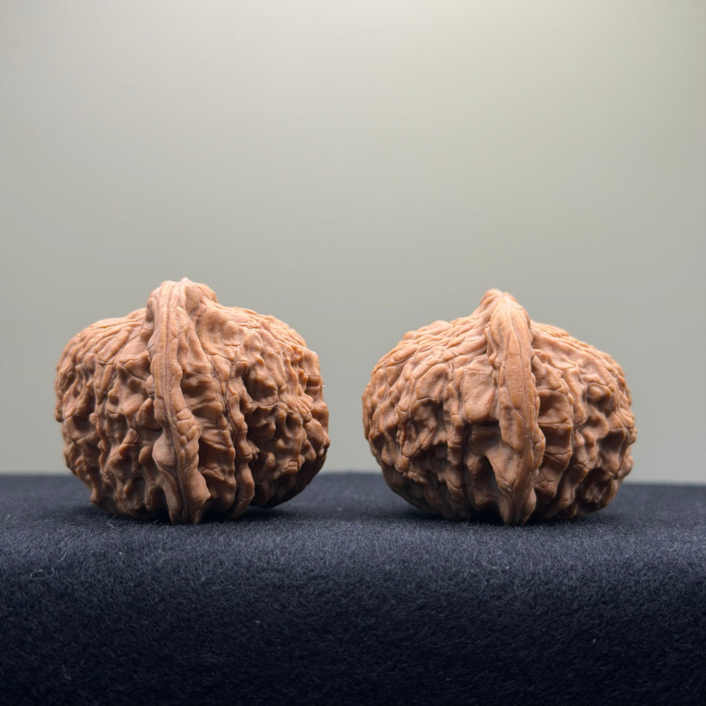 Red Lion Wenwan Walnut · 40mm · Natural · Entry Ritual
