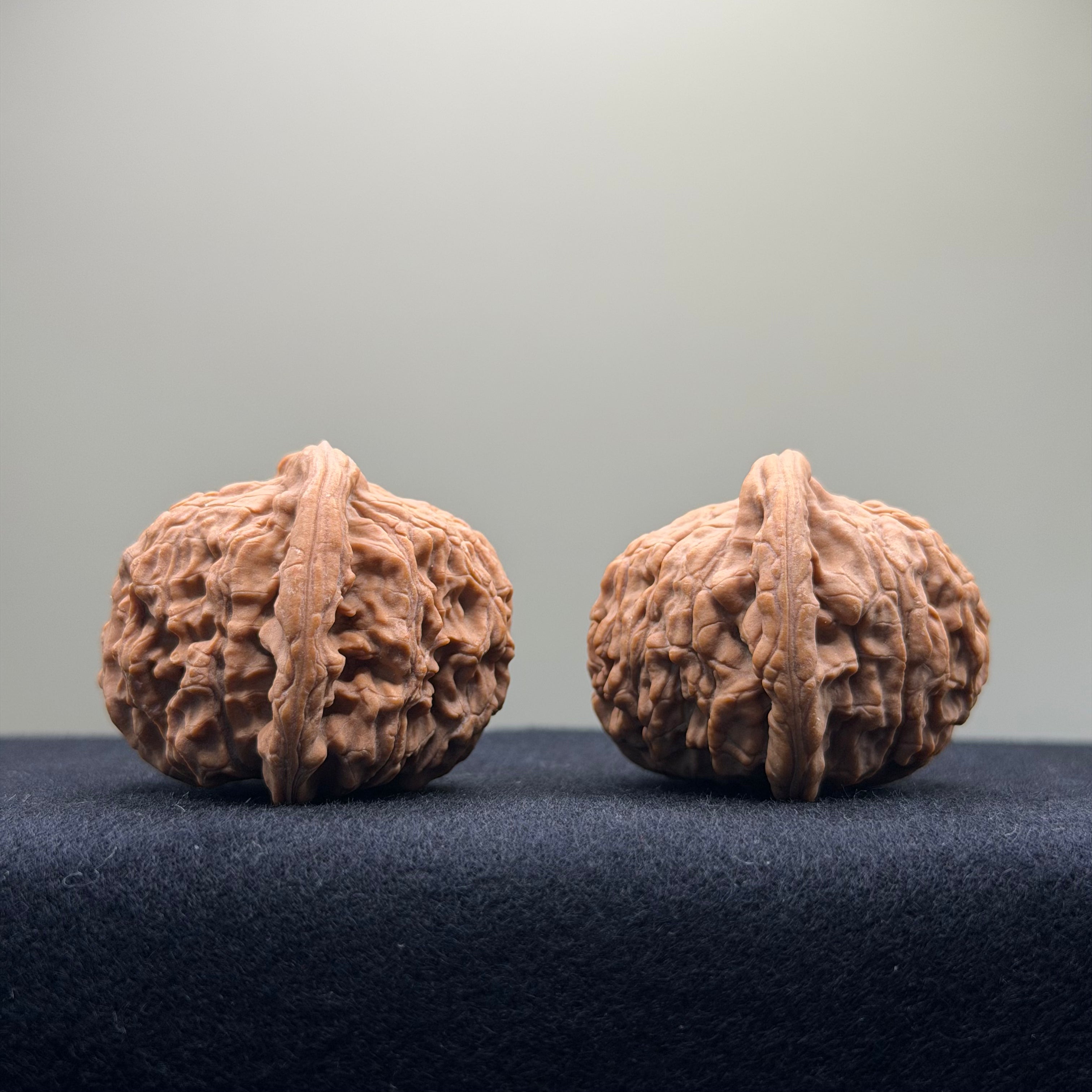Red Lion Wenwan Walnut · 40mm · Natural · Entry Ritual