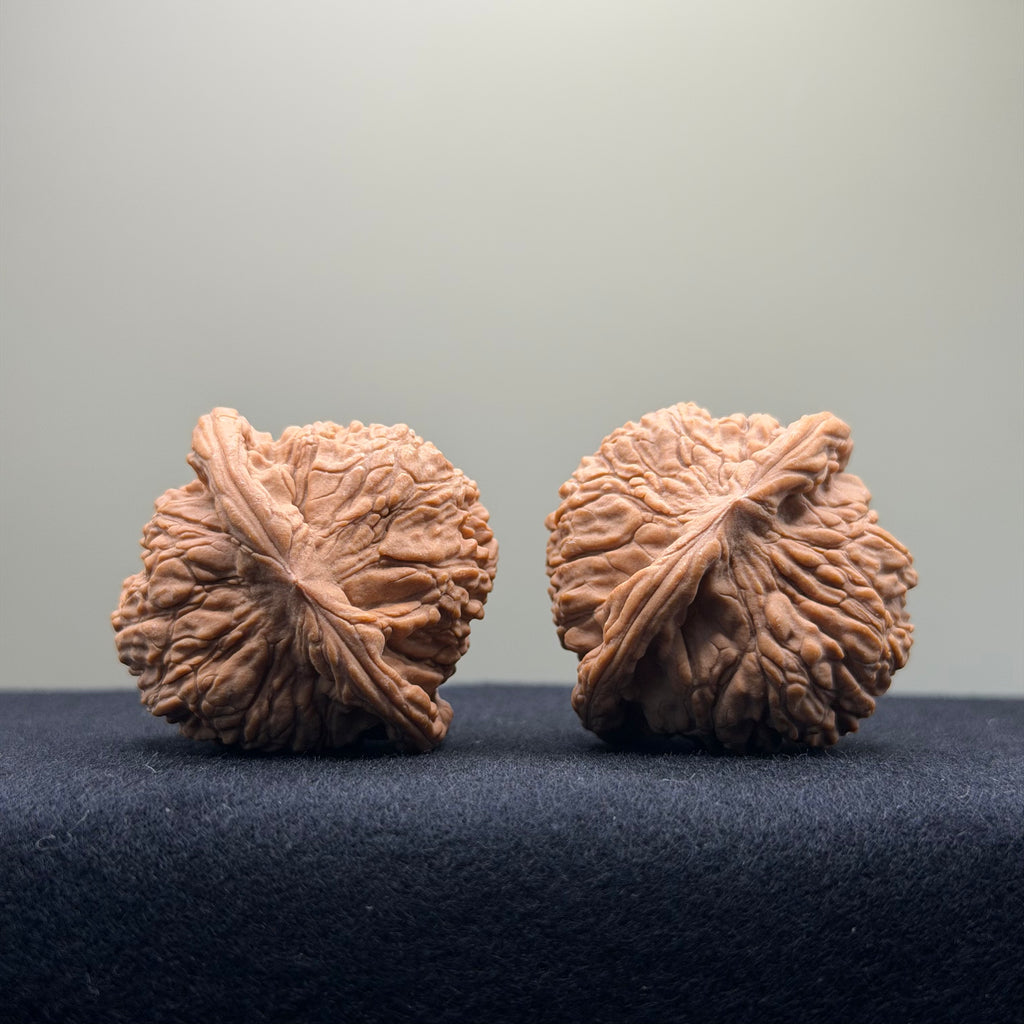 Red Lion Wenwan Walnut · 40mm · Natural · Entry Ritual