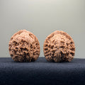 Red Lion Wenwan Walnut · 38mm · Natural · Entry Ritual