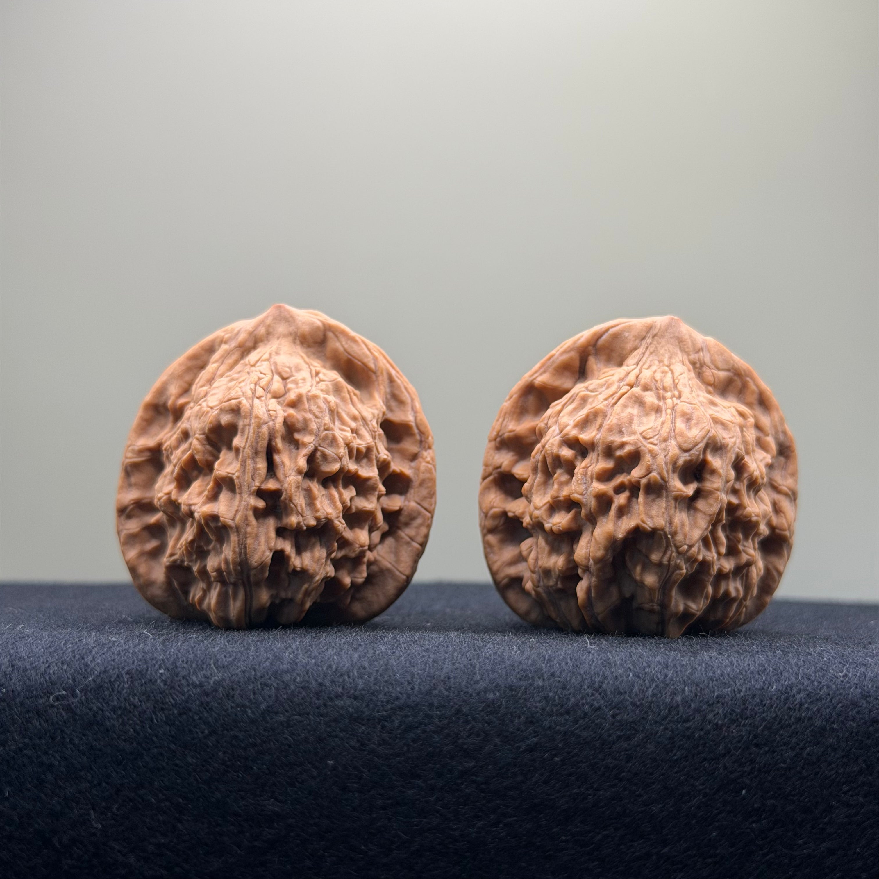 Red Lion Wenwan Walnut · 38mm · Natural · Entry Ritual