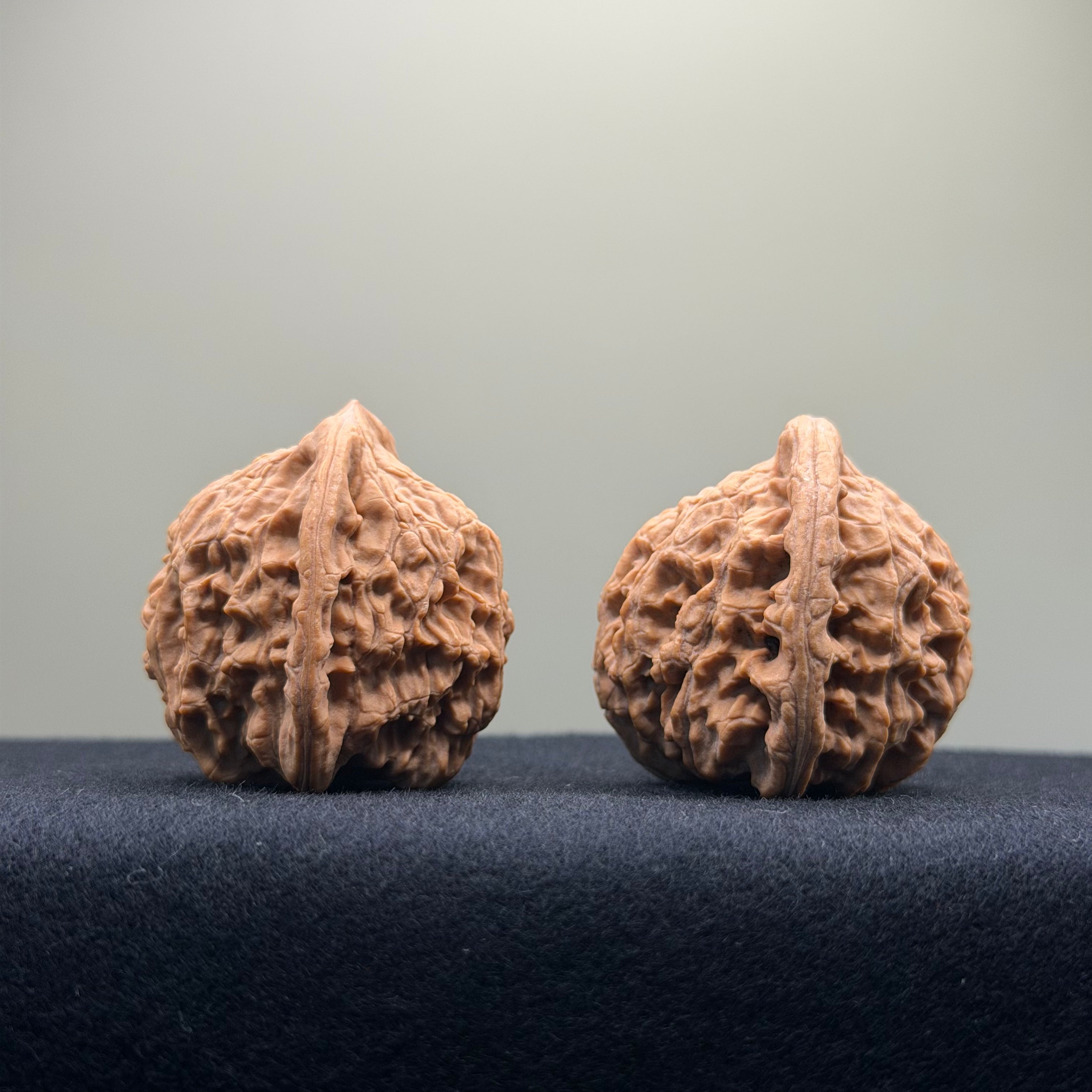Red Lion Wenwan Walnut · 38mm · Natural · Entry Ritual