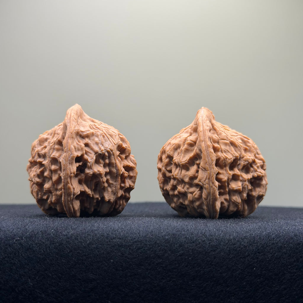Red Lion Wenwan Walnut · 38mm · Natural · Entry Ritual
