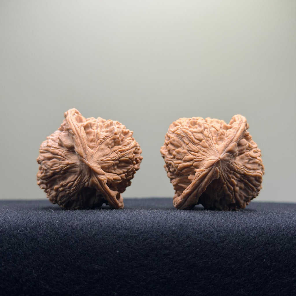 Red Lion Wenwan Walnut · 38mm · Natural · Entry Ritual