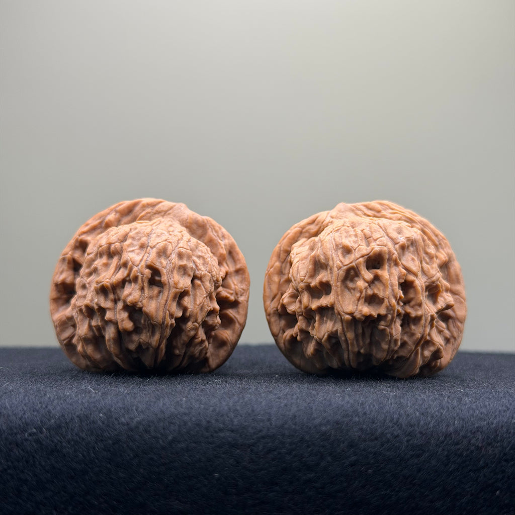 Red Lion Wenwan Walnut · 37mm · Natural · Entry Ritual