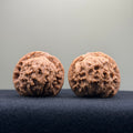 Red Lion Wenwan Walnut · 37mm · Natural · Entry Ritual