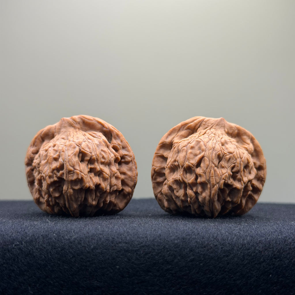 Red Lion Wenwan Walnut · 37mm · Natural · Entry Ritual
