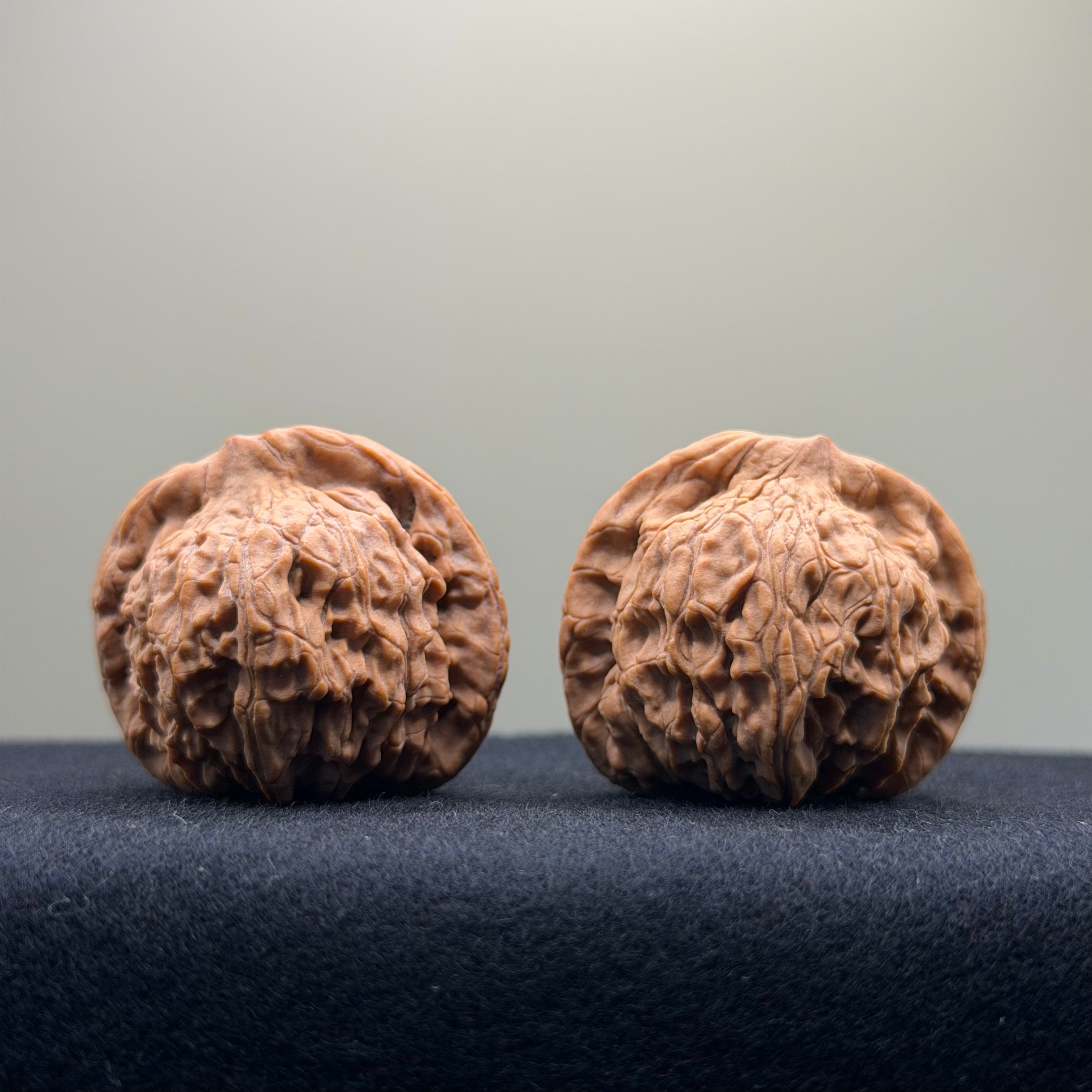 Red Lion Wenwan Walnut · 37mm · Natural · Entry Ritual