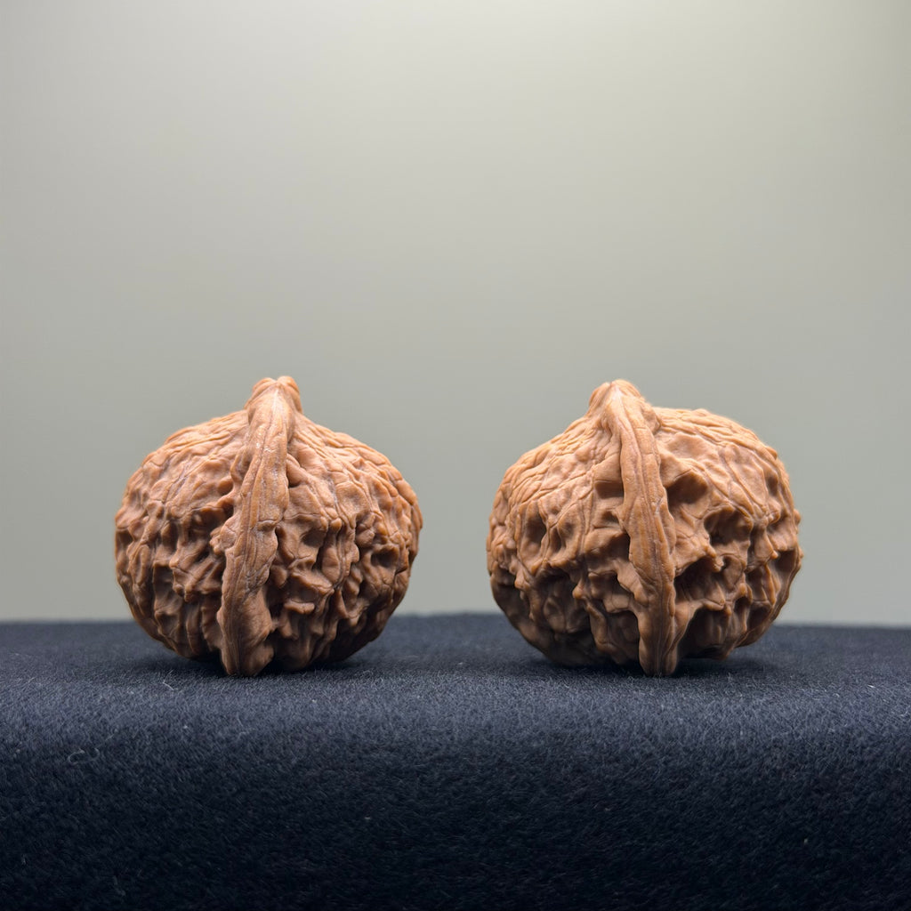 Red Lion Wenwan Walnut · 37mm · Natural · Entry Ritual