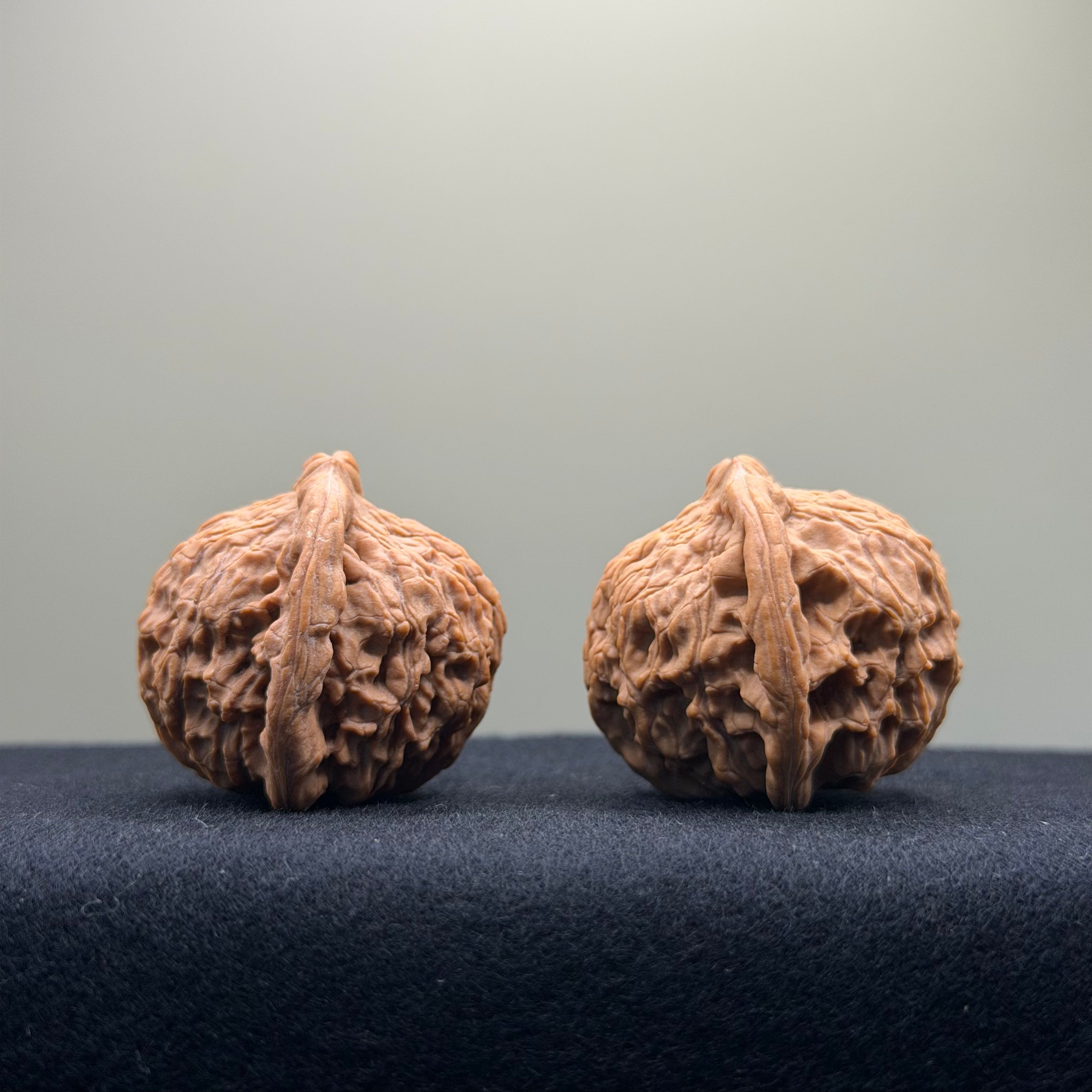 Red Lion Wenwan Walnut · 37mm · Natural · Entry Ritual