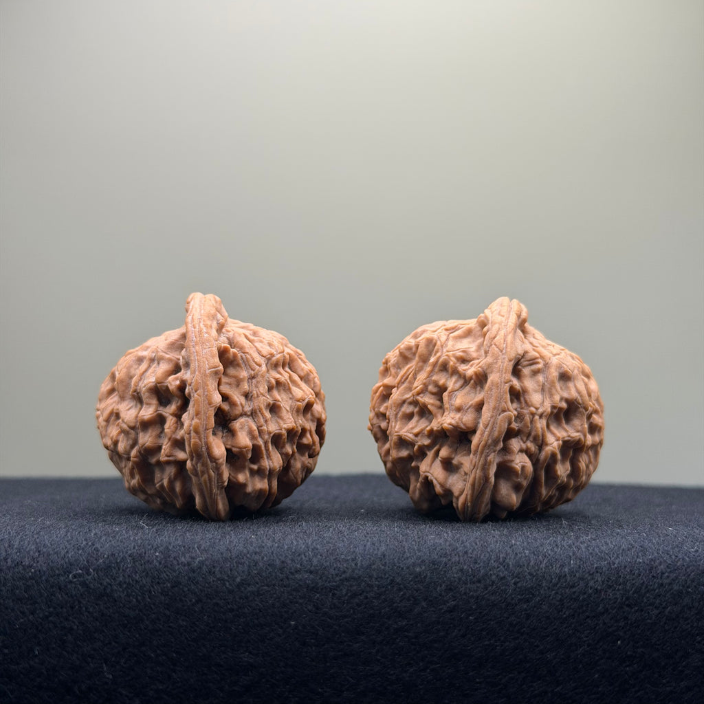 Red Lion Wenwan Walnut · 37mm · Natural · Entry Ritual