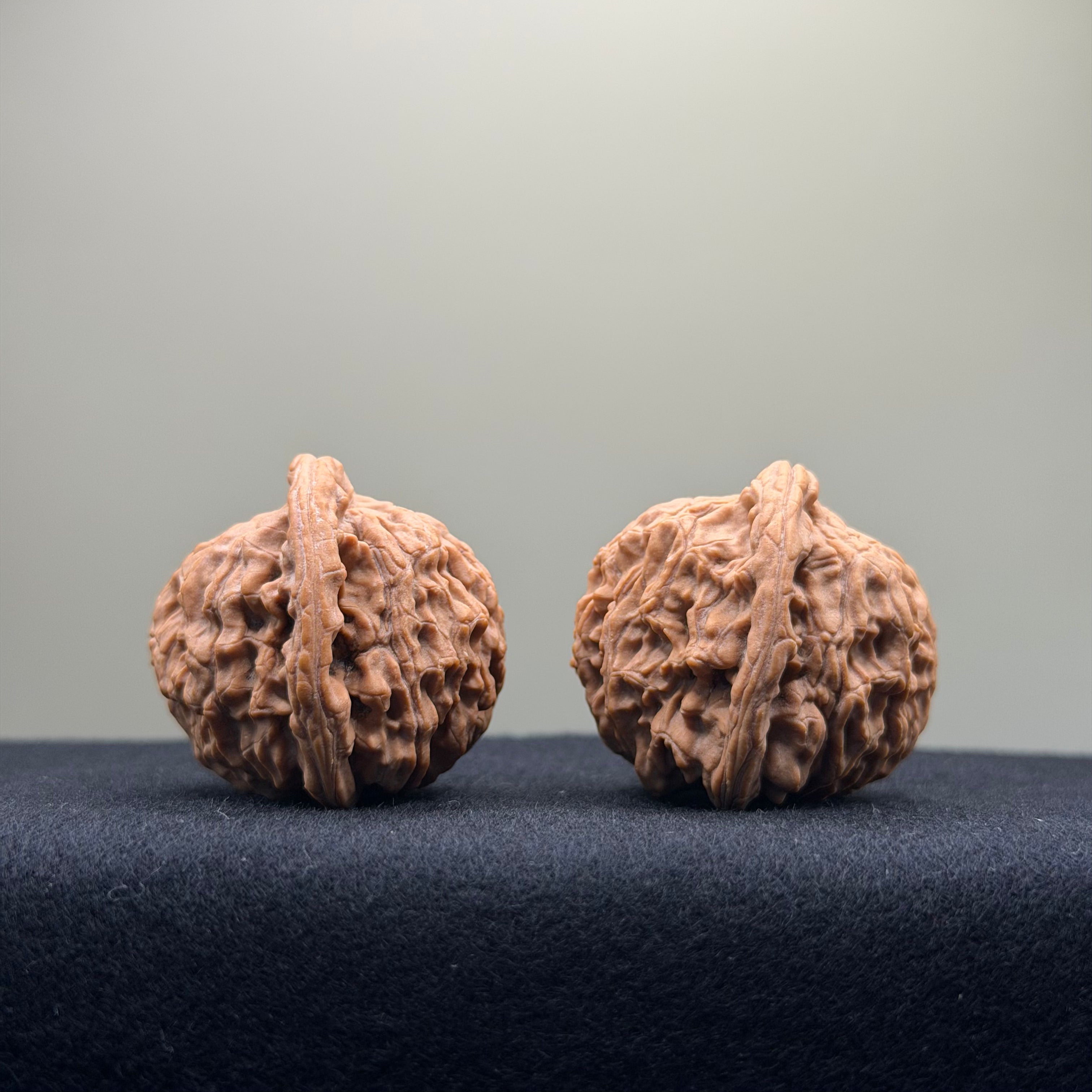 Red Lion Wenwan Walnut · 37mm · Natural · Entry Ritual