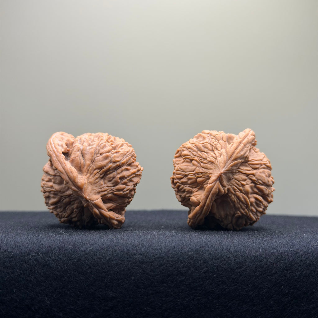 Red Lion Wenwan Walnut · 37mm · Natural · Entry Ritual