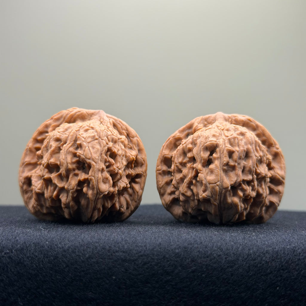 Red Lion Wenwan Walnut · 40mm · Natural · Entry Ritual