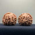 Red Lion Wenwan Walnut · 40mm · Natural · Entry Ritual