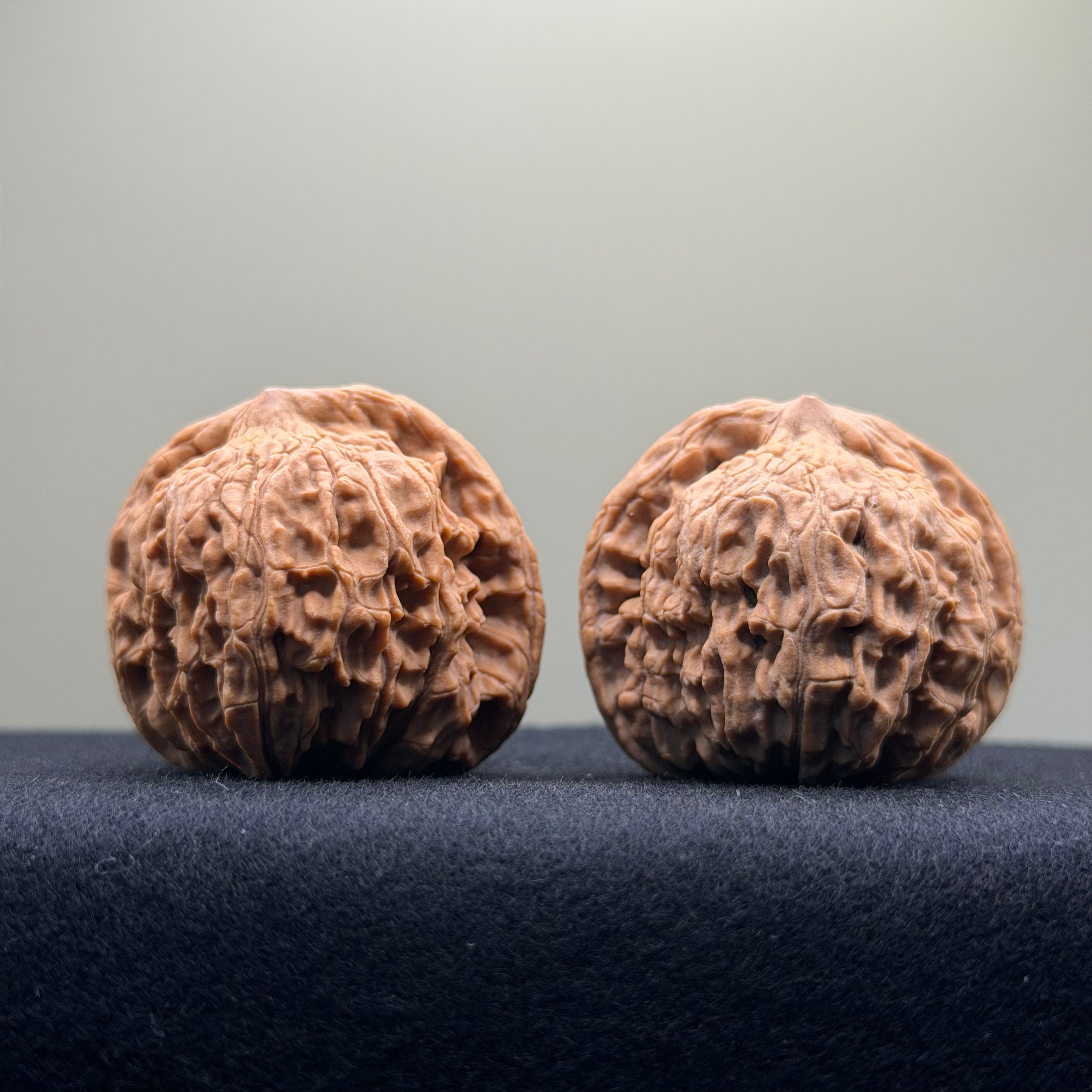 Red Lion Wenwan Walnut · 40mm · Natural · Entry Ritual
