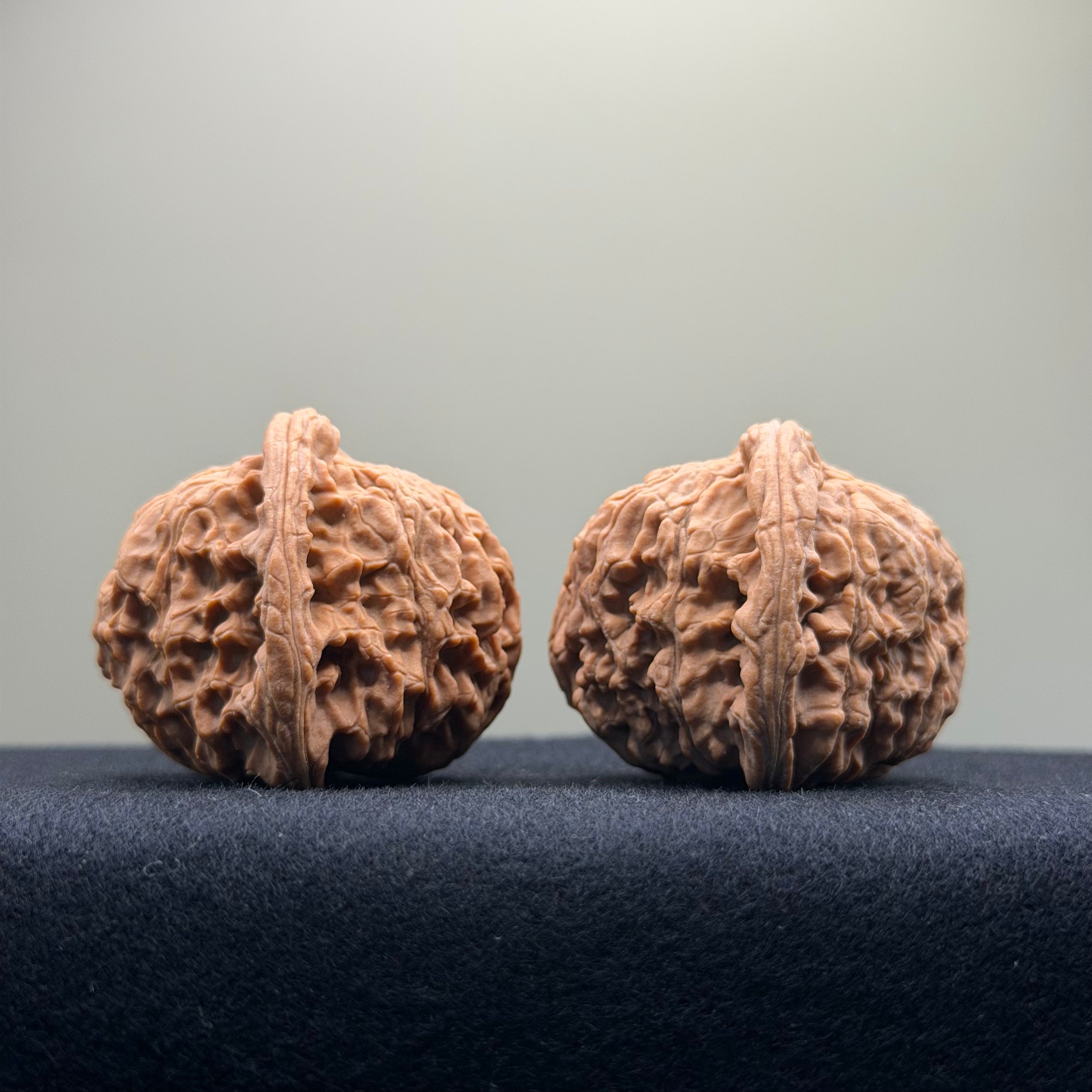 Red Lion Wenwan Walnut · 40mm · Natural · Entry Ritual