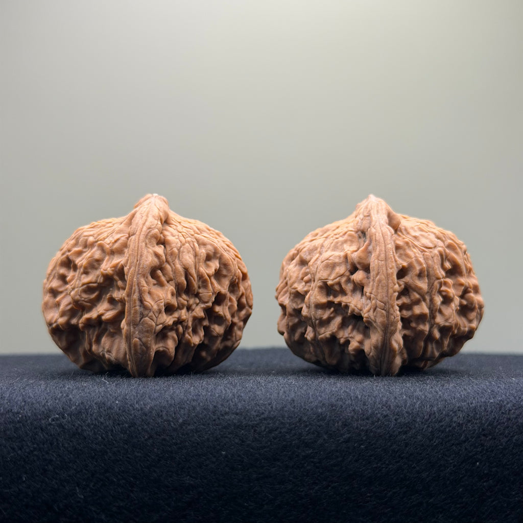 Red Lion Wenwan Walnut · 40mm · Natural · Entry Ritual