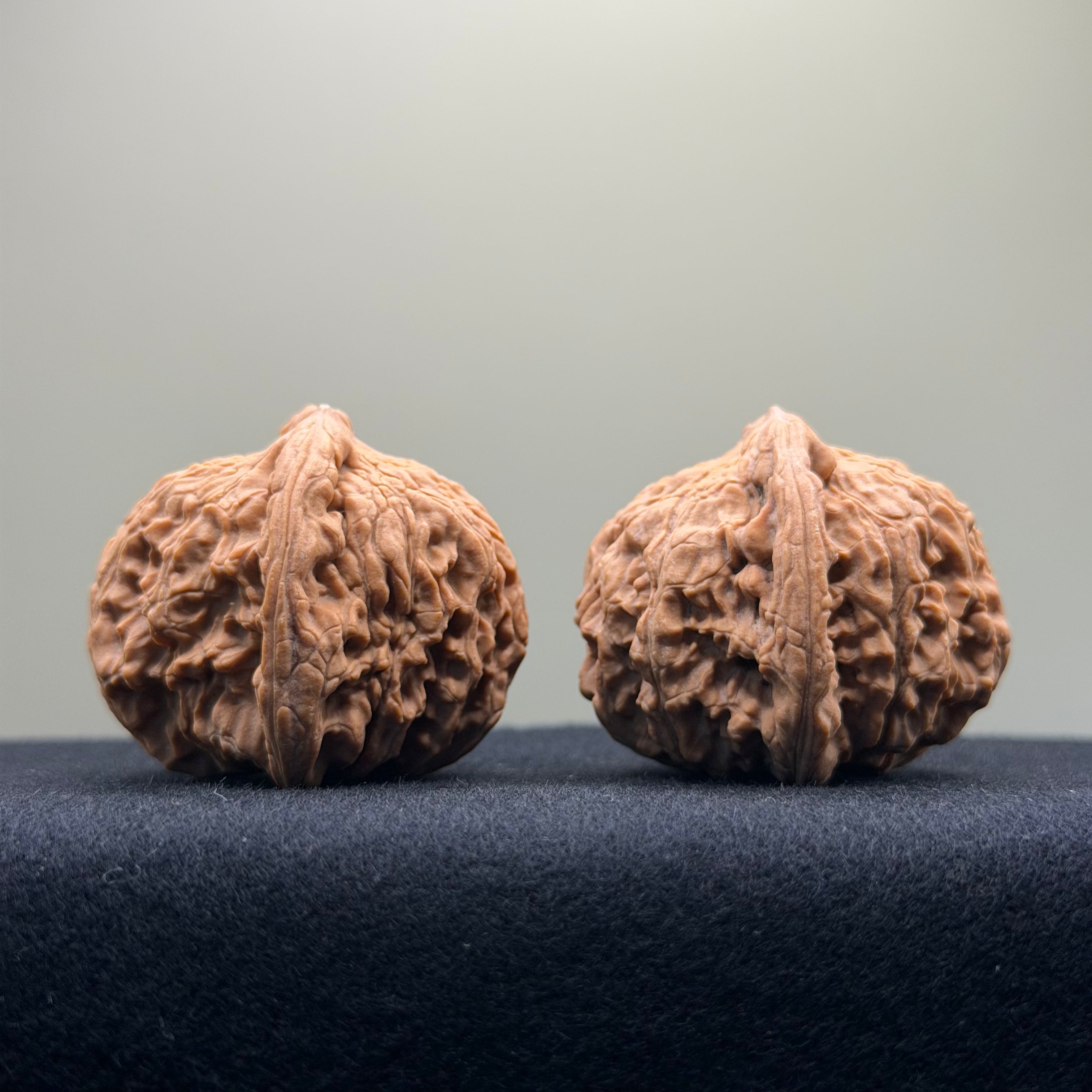 Red Lion Wenwan Walnut · 40mm · Natural · Entry Ritual