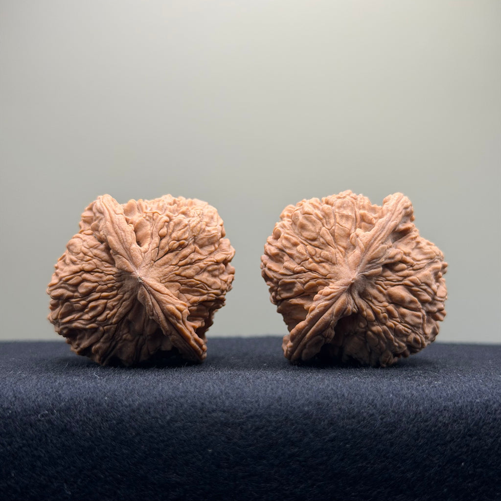 Red Lion Wenwan Walnut · 40mm · Natural · Entry Ritual