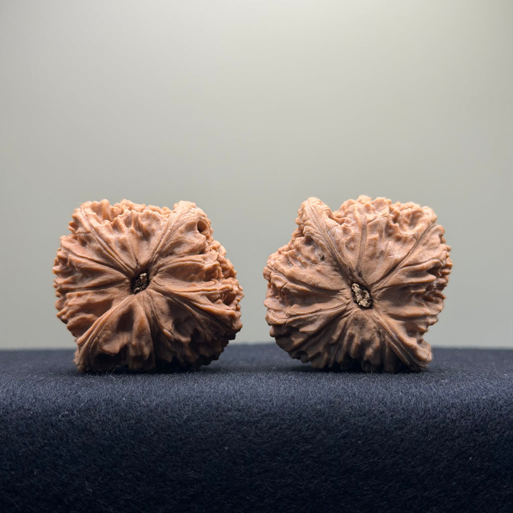 Red Lion Wenwan Walnut · 40mm · Natural · Entry Ritual