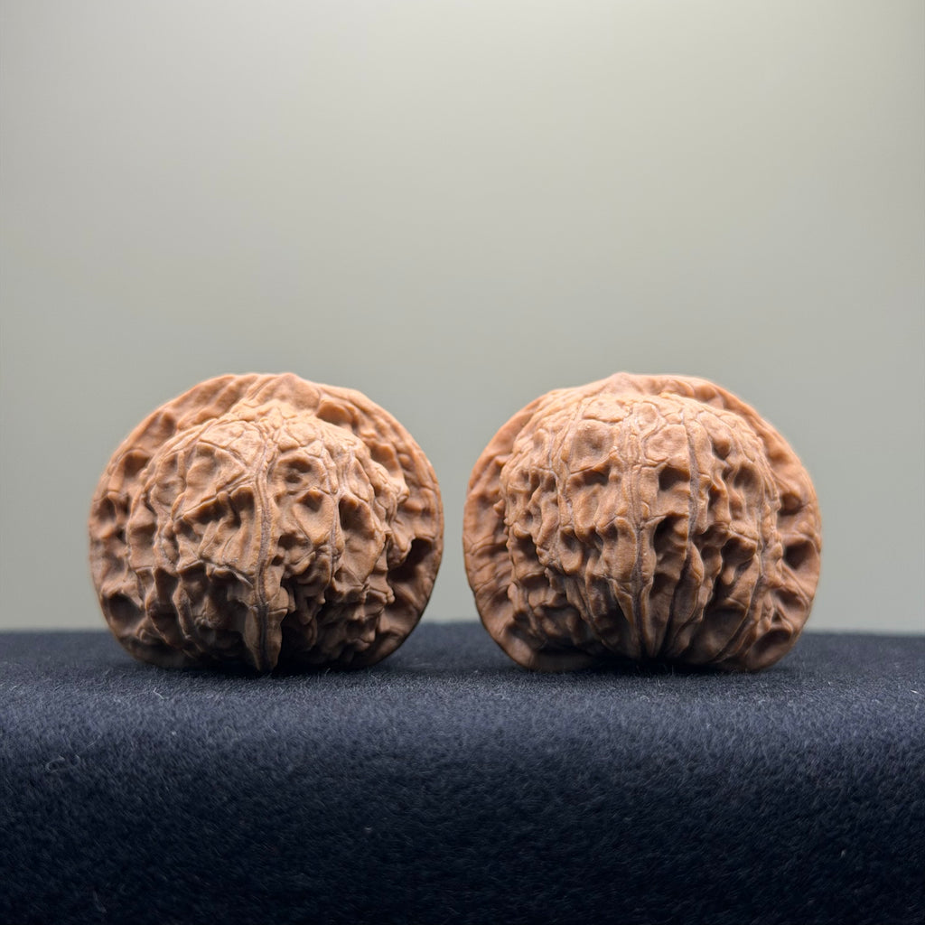 Red Lion Wenwan Walnut · 39mm · Natural · Entry Ritual