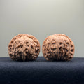 Red Lion Wenwan Walnut · 39mm · Natural · Entry Ritual